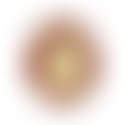 Apenas um Candidato Conquista o Título de Master Sommelier