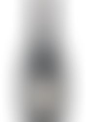 O VINHO DO MÊS: MEIOMI PINOT NOIR 2013 (por Daniel Pinto)