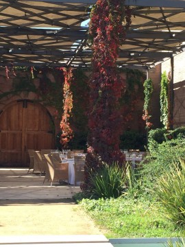 17 - IMG-20150423-WA0020