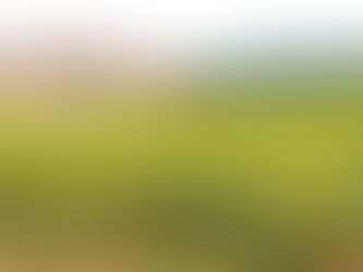 SBAV-SP: BORGONHA EXCLUSIVA