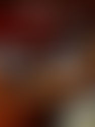 Aconchego Carioca em São Paulo