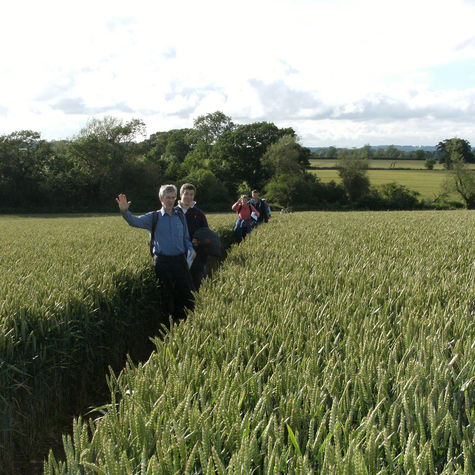 Summer walk