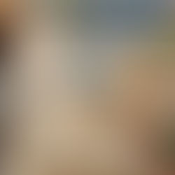 Summer Sun in full swing