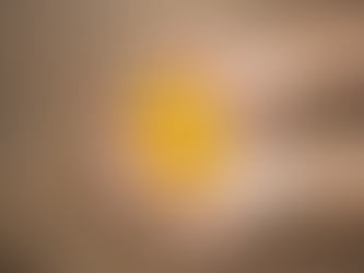 Lei do RELP já está valendo