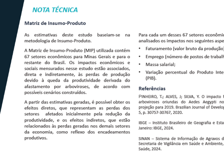 Dengue e outras arboviroses podem impactar em R$ 20 bilhões a economia do Brasil