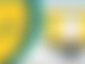 Soluções do SPC Brasil ajudam empresas a se manterem lucrativas