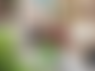 Varejo recorre ao Judiciário para garantir funcionamento de lojas em feriados