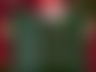 Natal: Horário especial do Comércio de Itaúna