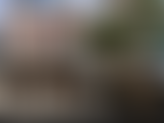 Frustrado intento de golpe de Estado en Bolivia