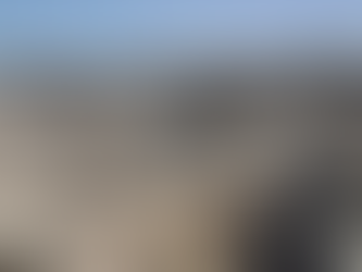 El sionismo asume la “solución final” para el pueblo palestino