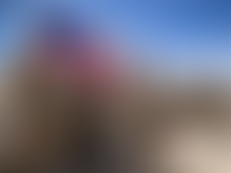 Por qué Estados Unidos va a la guerra