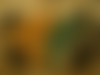 Afganistán-Pakistán: la sub-trama de la guerra imperialista en Medio Oriente