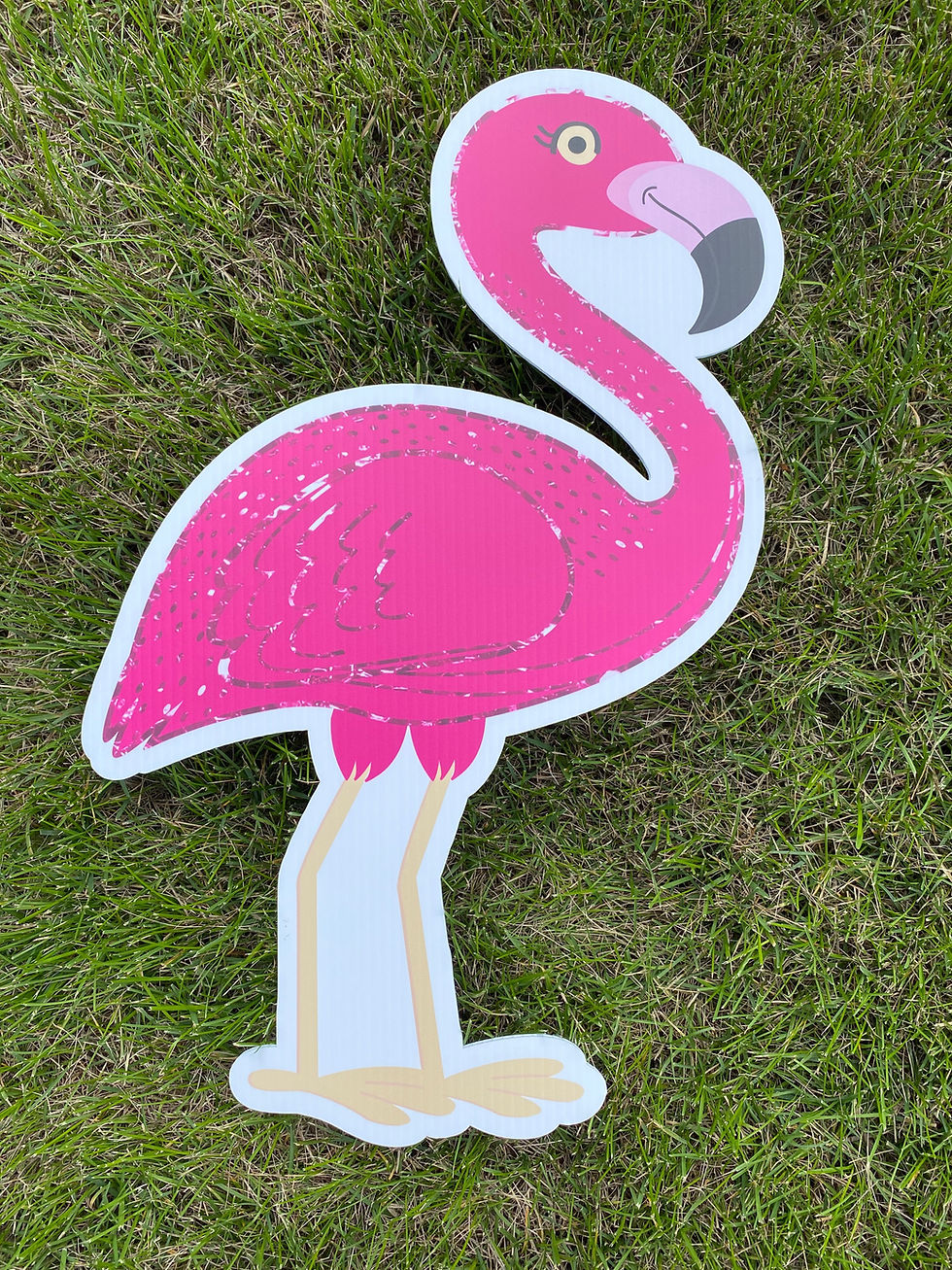 Flamingo