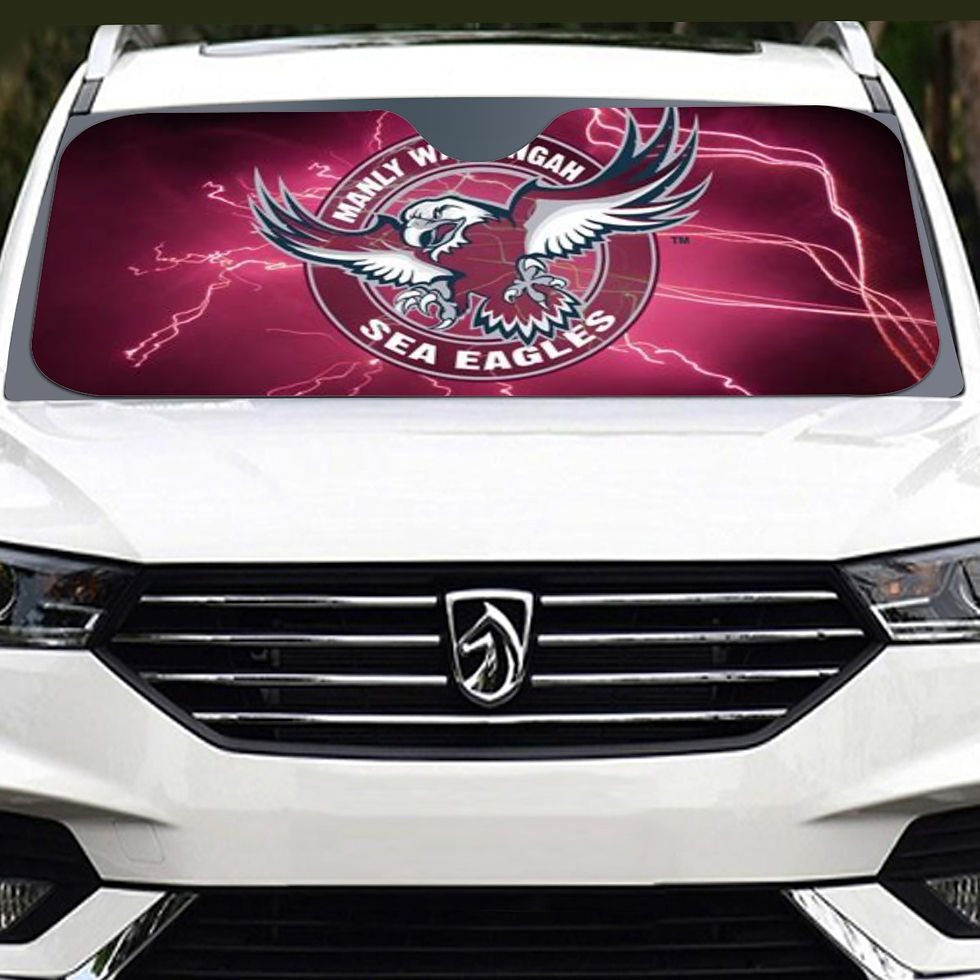 Windshield Sunshade | 145cm(57.1”)
