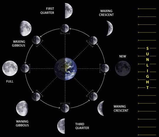 moon.gif