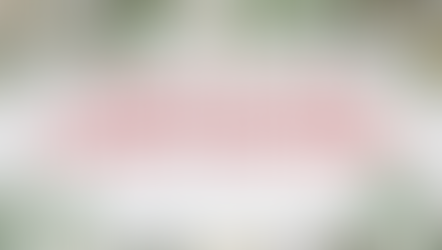 2025 Vendor Information