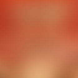 马年新春 饺子宴