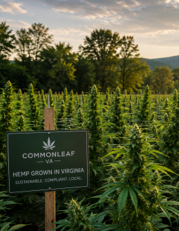 Virginia Hemp Grower Licensing.png