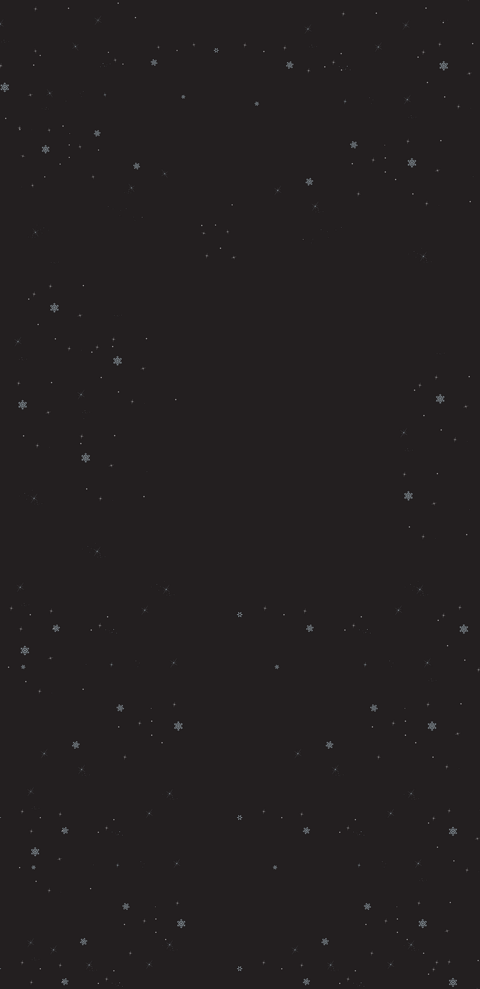 Santas Chimney ABOUT-02.png