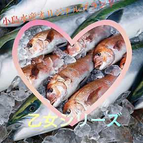 小島水産
