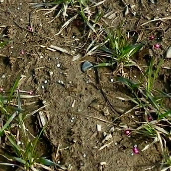 téléchargement (5).jpg