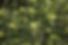 DSC00731.jpg