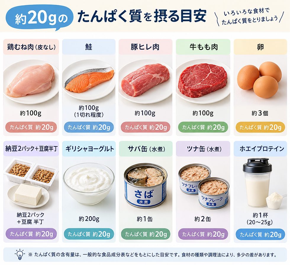 たんぱく質20gの目安