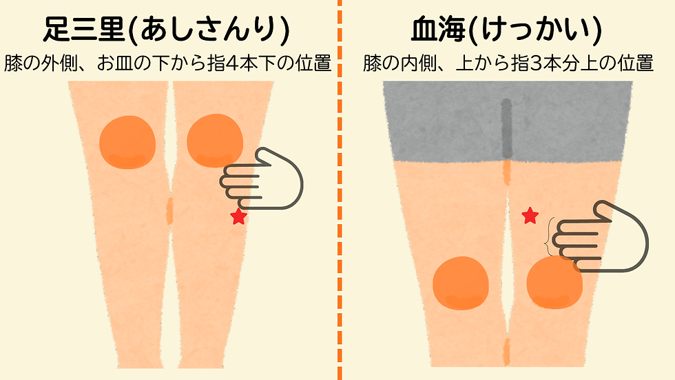 足三里と血海のツボの位置を説明するイラスト