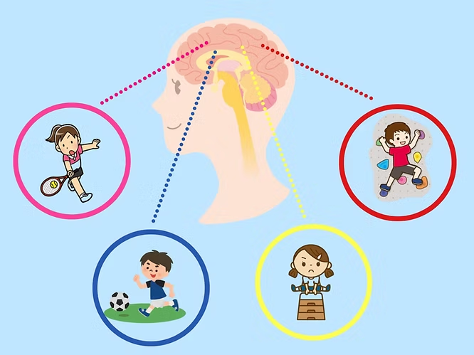 運動神経をイメージしたイラスト