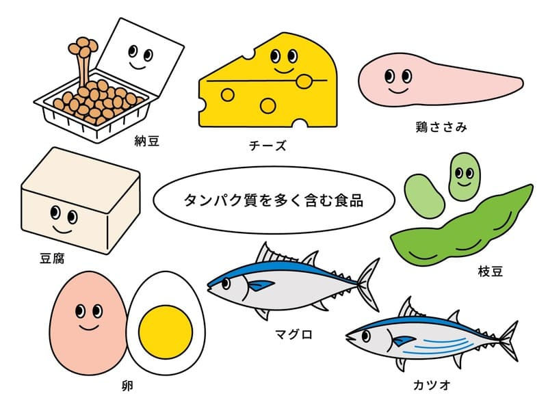 タンパク質を多く含む食品