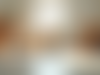 松山犬幼稚園で失敗しない！犬の幼稚園を選ぶポイント