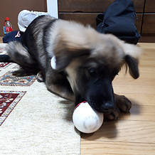 20210628_210300.jpg