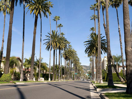 beverly hills photoshoot