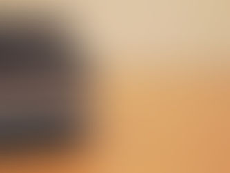 What are the minimum device requirements to use the voice?