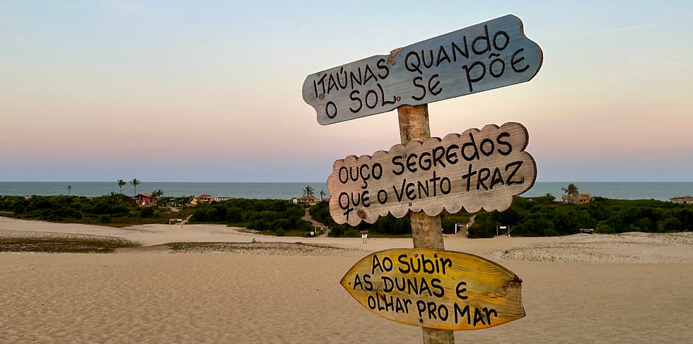 Vista do alto das dunas para a praia de Itaúnas