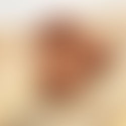 Cookies chocolat-noisettes