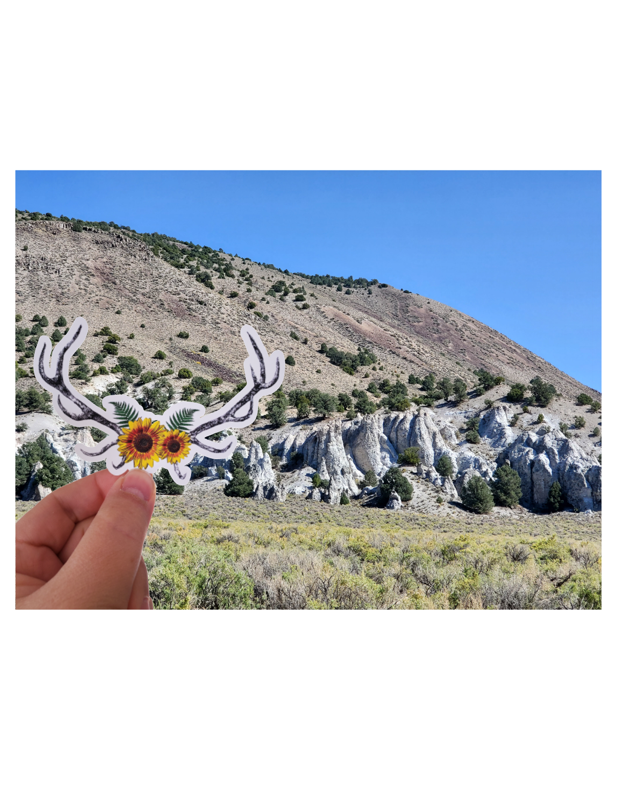 Sunflowers and Elk Antlers