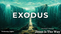 Exodus intro 3