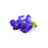 Thumbnail: Butterfly Pea
