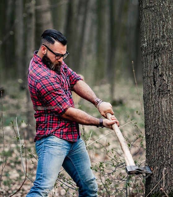 Promise section image