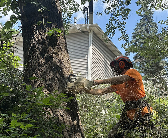 Mission section image