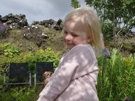 Nýtt blogg - nýr kafli /New blog - new chapter