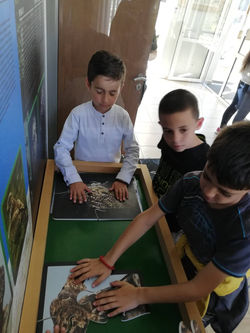 305534671_1173297053609961_7891818452859205888_n