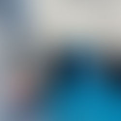 The NTRC continues to be a destination of choice for international research