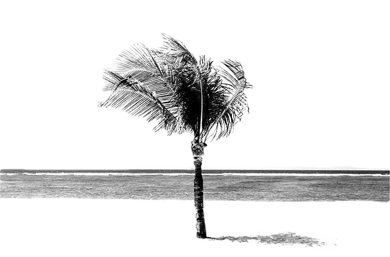 jordan-brown-TNfOuI18NL4-unsplash_edited