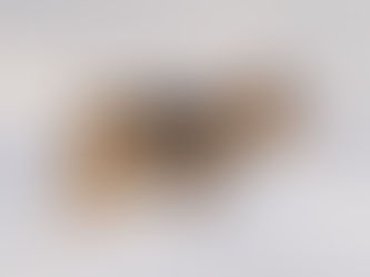 Paying Homage to 1118F