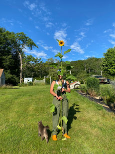 IMG_3348.jpeg