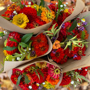 CSA Bouquets