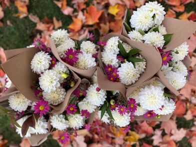CSA Bouquets