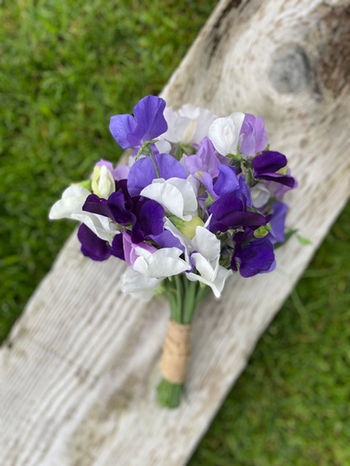 Sweet Peas for the Flower Girl